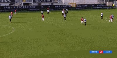 IMG_0139.gif